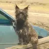 brianna hogan - @brianna.hogan12 - TikTok
