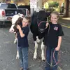 BREANNE WORKMAN - @breanneworkman - TikTok