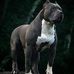 Brock Smith - Facebook