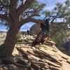 Bree Cassidy - @islandancingirl - TikTok