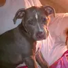 Breezy Goodman - @breezy.goodman - TikTok