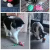 meowx4 - @breegoodman17 - TikTok