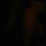 CDU+guys+yet+ire+gay+CD+Reed+ - @aliza.khanoo - Instagram
