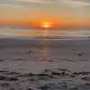 Bree.Jacky - @bree.jackson.1 - TikTok