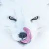 Lindsey Bree257 - @lindseybree257 - TikTok