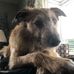 Bren Blake - Facebook