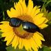 Brenda Abney - Facebook