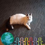 Brenda Ackerman - @brenda.ackerman.54 - Instagram