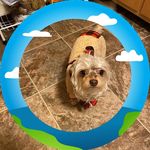 Brenda Ackerman - @brenda.ackerman2 - Instagram
