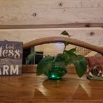 Brenda Ackerman - @brenda4.ack - Instagram
