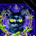 Brenda Asher - Facebook
