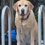 Brenda Asher - @brenda.asher.967 - Instagram