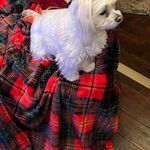 Brenda West Augustine - @brenda.benson.549 - Instagram
