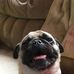 Brenda Ault - Facebook