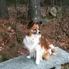 brendabaer6 - @brendabaer6 - TikTok