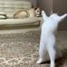 Brenda Barberito - Facebook