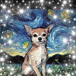 Brenda Barger-Saunders - @brendabargersaunders - Instagram