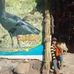 Brenda Barba - Facebook