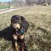 brendabartrum - @brendabartrum - TikTok