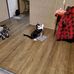 Brenda Basham - Facebook