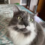 Brenda Basham Willey - @nanawilley18 - Instagram
