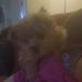 Brenda Basore - Facebook