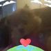 Brenda Basore - Facebook