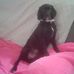 Brenda Basore - Facebook