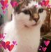 Brenda Batten - Facebook