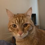Brenda Bean - @odin_supreme_ruler - Instagram