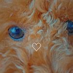 😎Брендо мішка💖 - @brenda_bear_2021 - Instagram