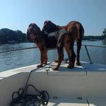 Brenda Bear - @brenda.bear.501 - Instagram