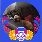 Brenda Beard - @brendabeard73 - Instagram