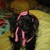 Brenda Beard - Facebook
