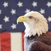 Brenda Beard - @brenda.beard1 - TikTok
