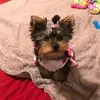 brendabeard10 - @brendabeard10 - TikTok