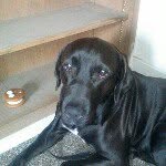 Brenda beeman - @tinkermoms - Instagram