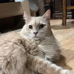 Brenda Beeman Strong - @brenda.strong.579 - Instagram