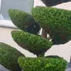 Bernd Biehler - @bernd.biehler - TikTok