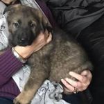 Brenda Bingham - @brenda.bingham.733 - Instagram