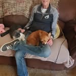 Brenda Bingham - @bb121967 - Instagram