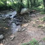 Brenda Bingham - @brendabingham40 - Instagram