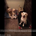 Brenda Bingham Ward - @brendobw7 - Instagram