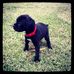 Brenda Block - Facebook