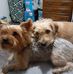 Brenda Bolden - Facebook