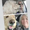 brendabowensilva - @brendabowensilva - TikTok