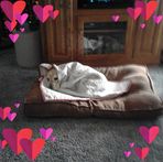 Brenda Bowman - Facebook