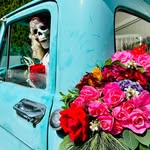 Brenda Boylan Mitchell - @brendaboylan49 - Instagram