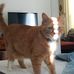 Brenda Boyle - Facebook