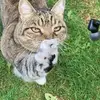 Brenda Buck - @brenda.buck5 - TikTok
